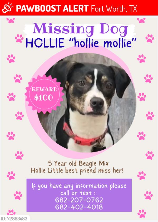 Lost Female Dog last seen Denton Hwy , Fort Worth, TX 76117