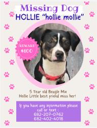 Lost Female Dog last seen Denton Hwy , Fort Worth, TX 76117