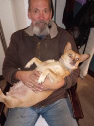 Lost Female Dog last seen Easy pawn in Lakewood , Denver, CO 80204