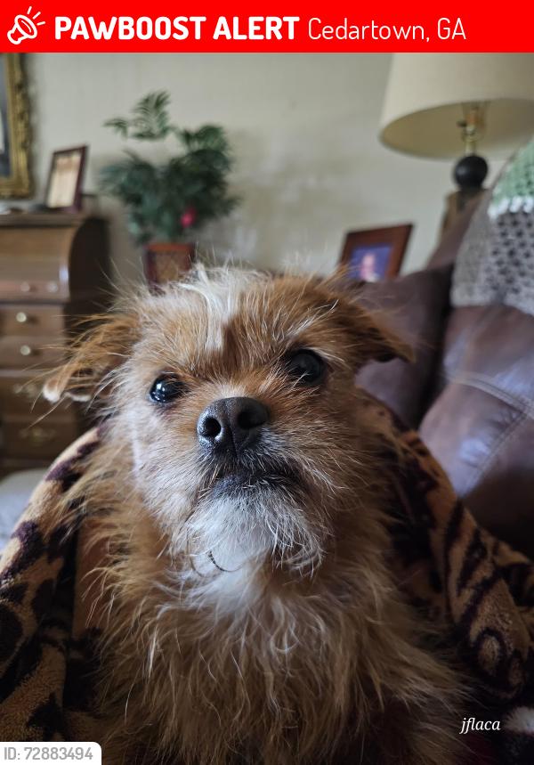 Lost Male Dog last seen Judkin Mill Road/Johnson Lake Road, Cedartown, GA 30125