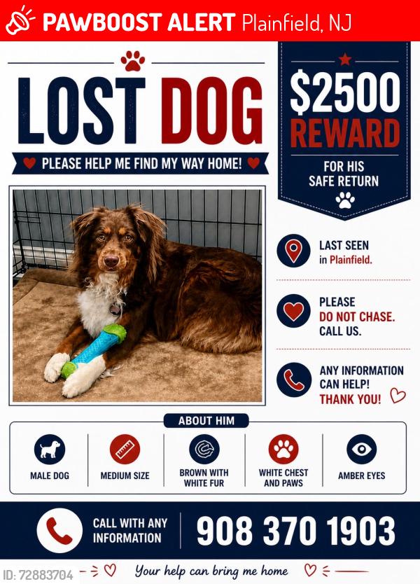 Lost Male Dog last seen South Plainfield, New Jersey , Plainfield, NJ 07060