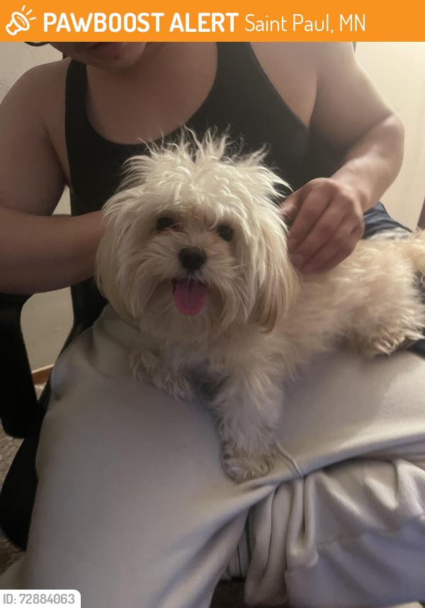 Found/Stray Male Dog last seen Speedway near Lexington , Saint Paul, MN 55104