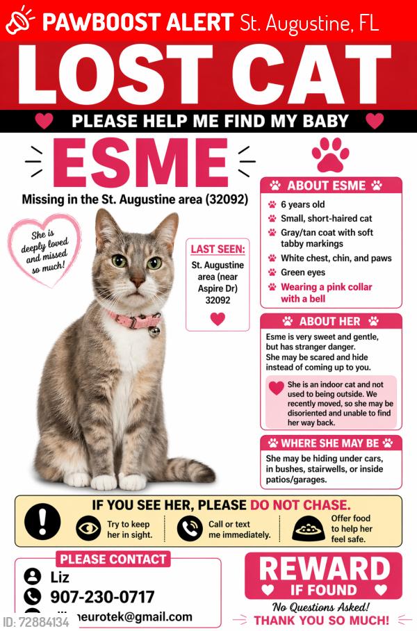 Lost Female Cat last seen Near aspire Dr , St. Augustine, FL 32092
