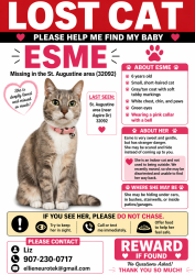 Lost Female Cat last seen Near aspire Dr , St. Augustine, FL 32092