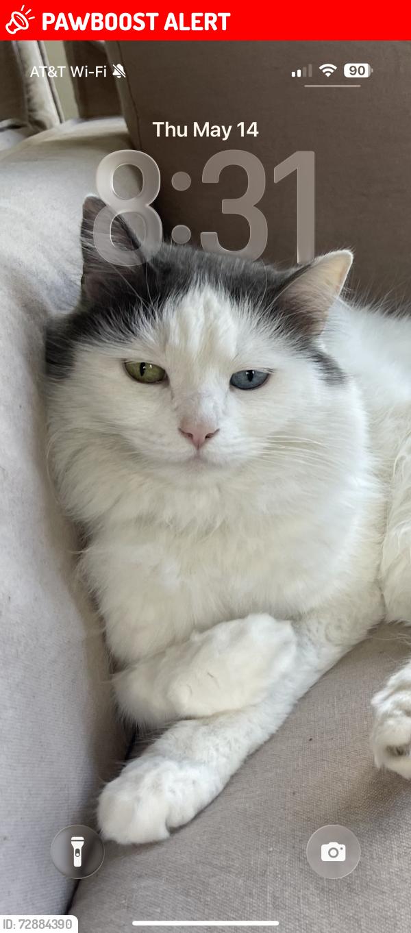 Lost Female Other last seen Las Rambles , San Juan Capistrano, CA 92675