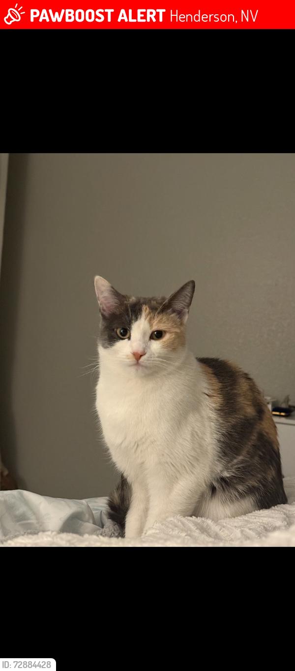 Lost Female Cat last seen N Green Valley Pkwy and La Mesa Dr, Henderson, NV 89014