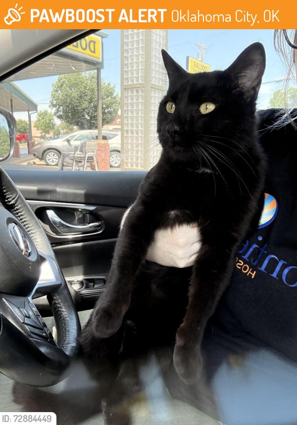Found/Stray Male Cat last seen Near n western at oncue, Oklahoma City, OK 73114