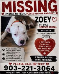 Lost Female Dog last seen Near and saltworks rd , Palestine, TX 75803