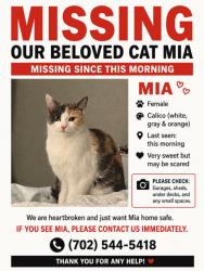 Lost Female Cat last seen La mesa, Henderson, NV 89014