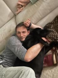 Lost Female Dog last seen Bilaver, Glen Alpine, NSW 2560