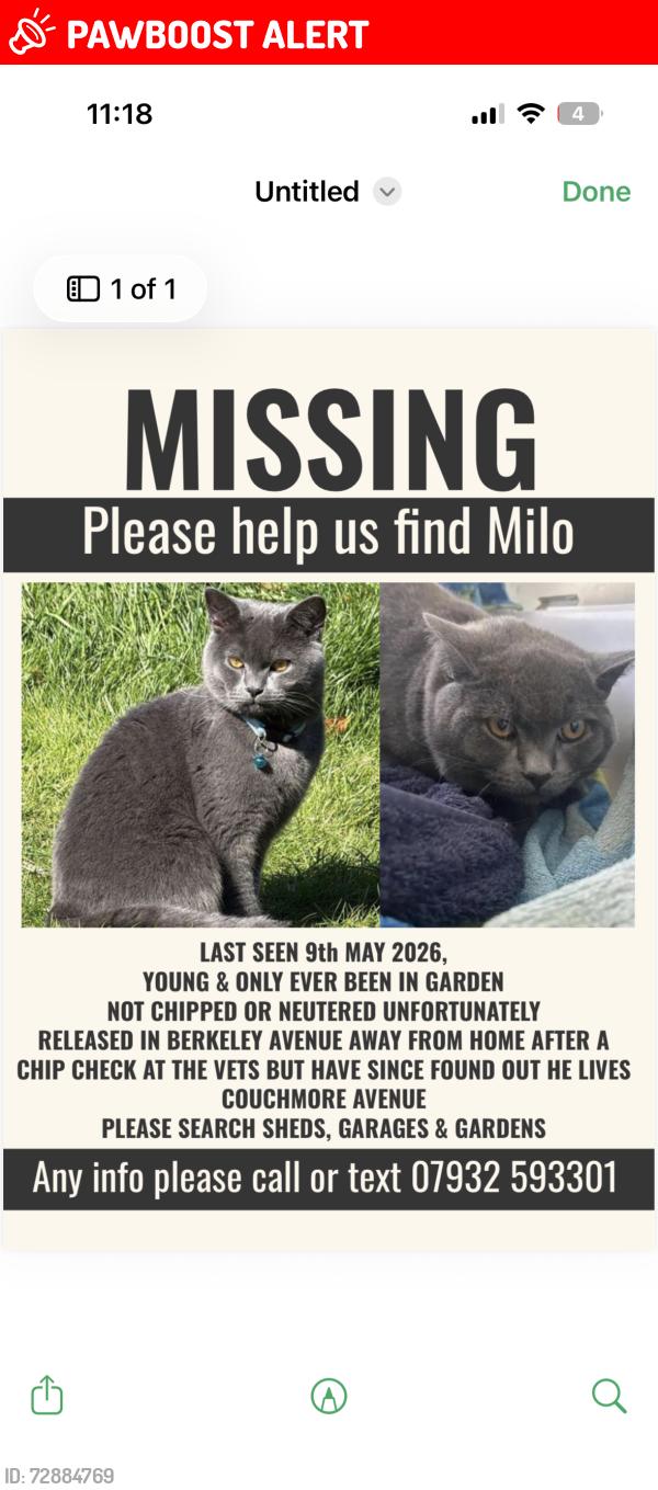 Lost Male Cat last seen Clayhall avenue, Greater London, England IG5