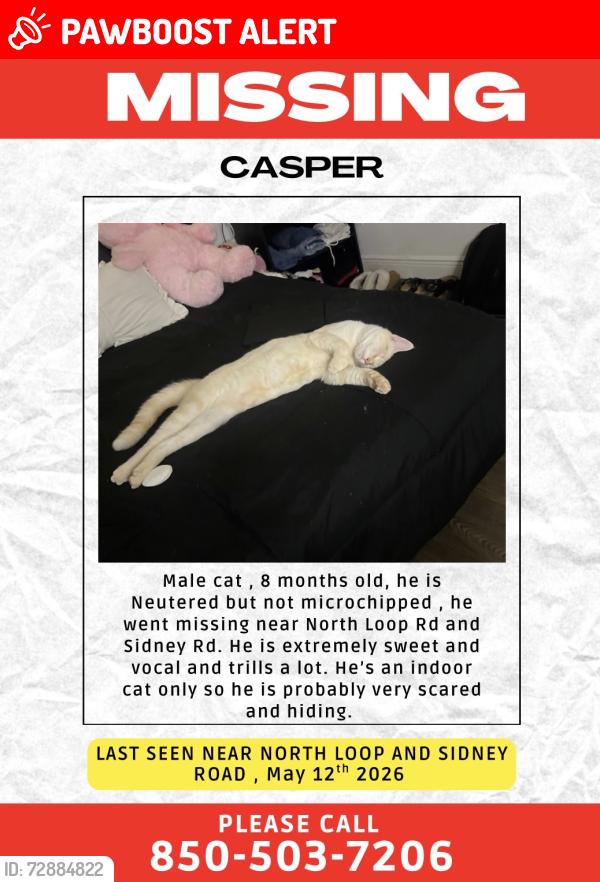 Lost Male Cat last seen North Loop, Navy Base, Blue Angel Pwky, Gulf Beach Hwy, Escambia County, FL 32507