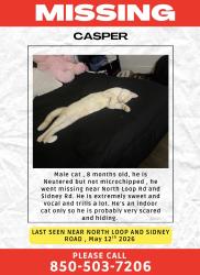 Lost Male Cat last seen North Loop, Navy Base, Blue Angel Pwky, Gulf Beach Hwy, Escambia County, FL 32507