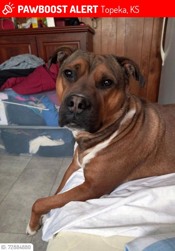 Lost Male Dog last seen Goodyear plant, Topeka, KS 66618