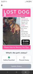 Lost Male Dog last seen Near main Street. , Emporia, VA 23847