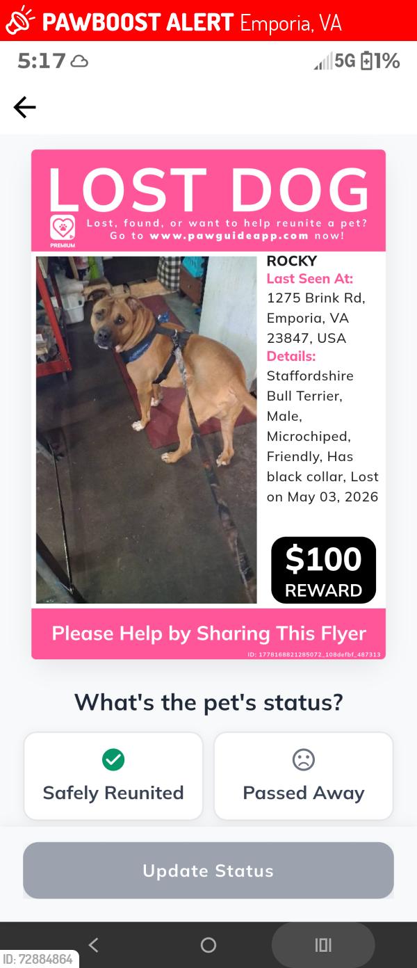 Lost Male Dog last seen Near main Street. , Emporia, VA 23847