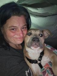 Lost Female Dog last seen Governs Park , Tallahassee, FL 32301