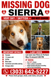 Reunited Female Dog last seen Sledding hill, Littleton, CO 80128
