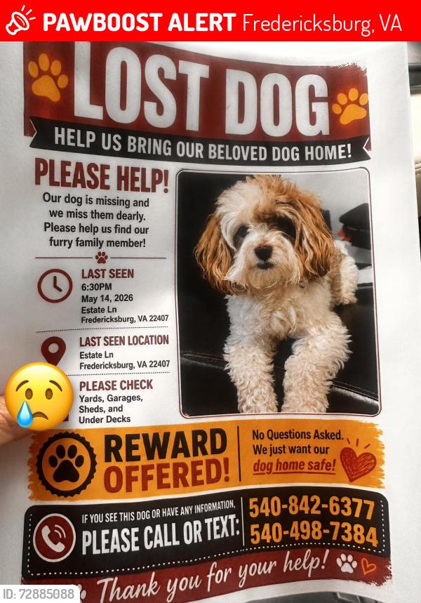 Lost Male Dog last seen Near est ln, Fredericksburg, VA 22407