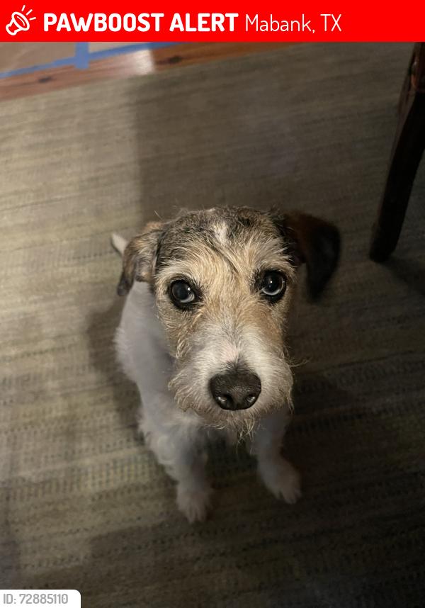 Lost Female Dog last seen Pinnacle Golf Club, Mabank, TX 75156