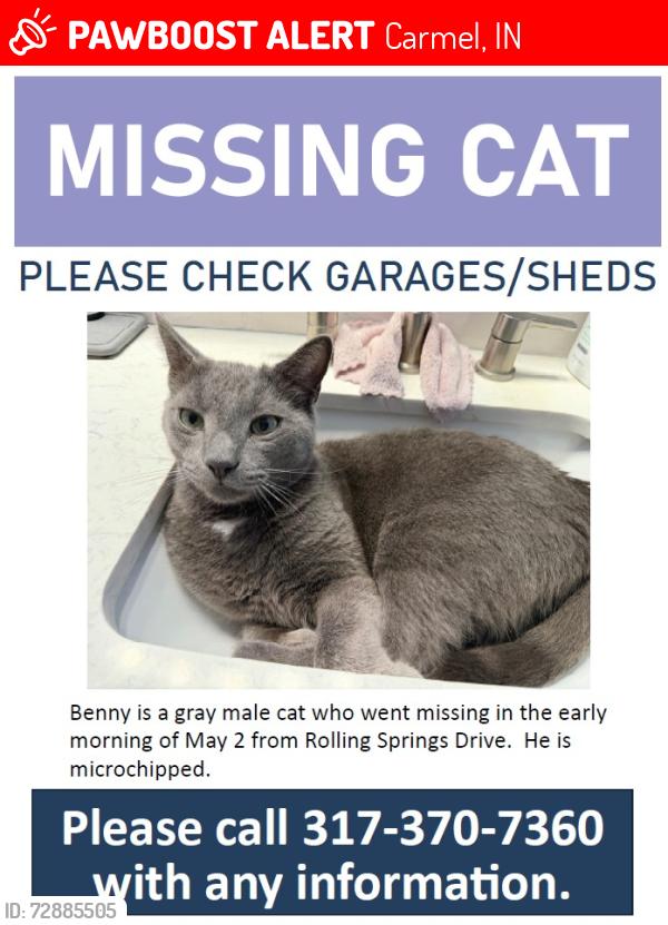 Lost Male Cat last seen Haverstick & Rolling Springs, Carmel, IN 46033