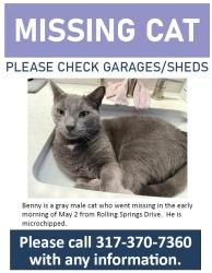 Lost Male Cat last seen Haverstick & Rolling Springs, Carmel, IN 46033