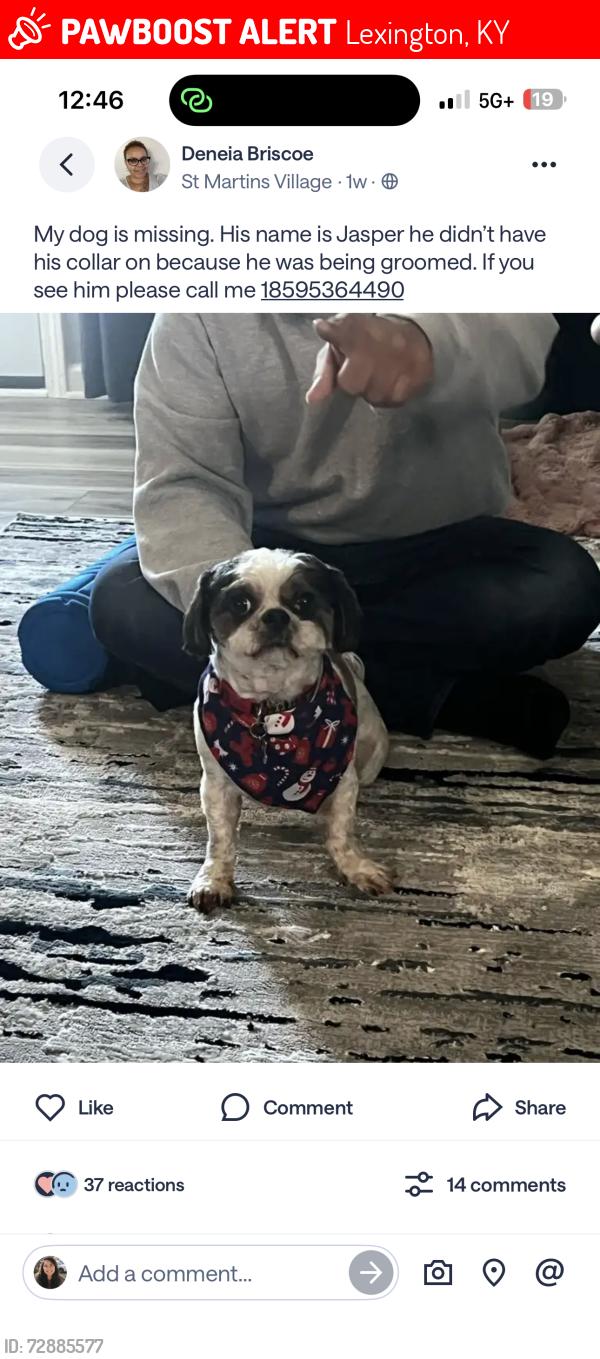 Lost Male Dog last seen Corner of Erie dr. & waverly dr., Lexington, KY 40511