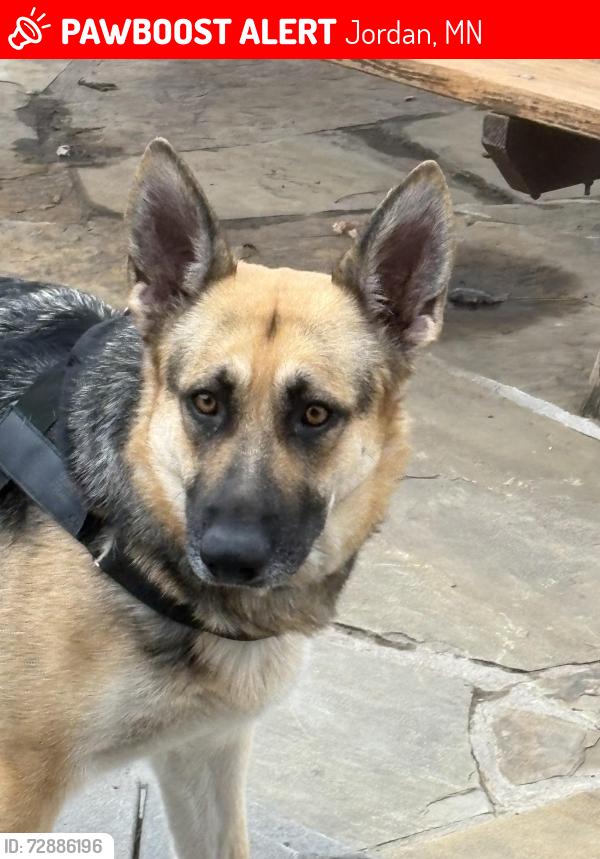 Lost Female Dog last seen Jonathan carver hwy 21, Jordan, MN 55352