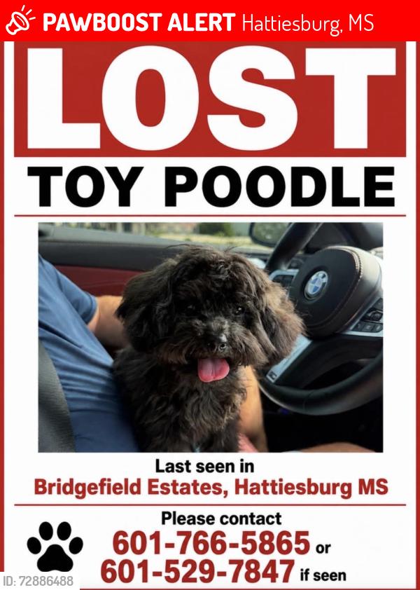 Lost Unknown Dog last seen Across the street from Canebrake golf course, Hattiesburg, MS 39401