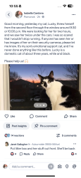 Lost Female Cat last seen 61-41 parsons blvd, Queens, NY 11365