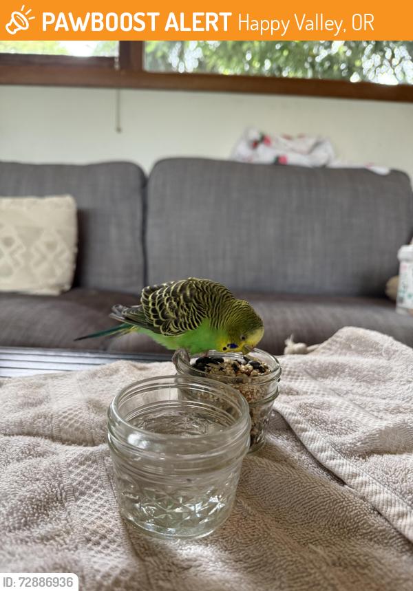 Found/Stray Female Bird last seen Happy Valley New Seasons , Happy Valley, OR 97086