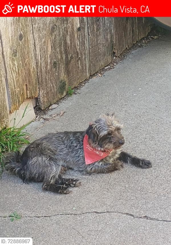 Lost Male Dog last seen Near Las Bancas Ct, Chula Vista, CA 91911
