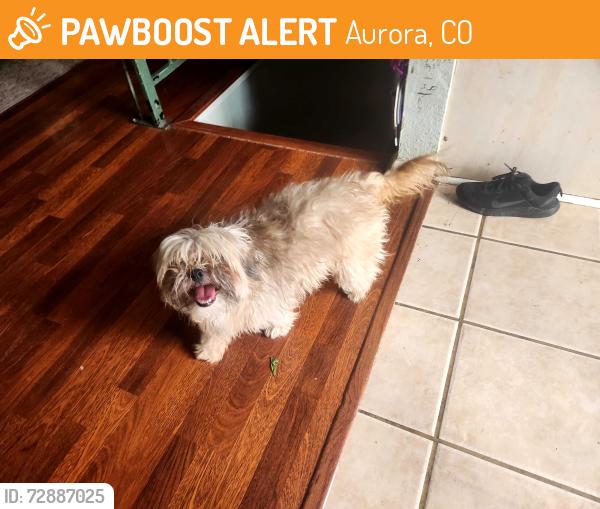 Found/Stray Unknown Dog last seen Pagosa Cir, Aurora, CO 80015