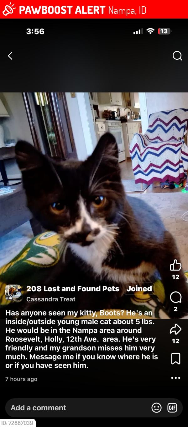 Lost Male Cat last seen Roosevelt and 15th, Nampa, ID 83651