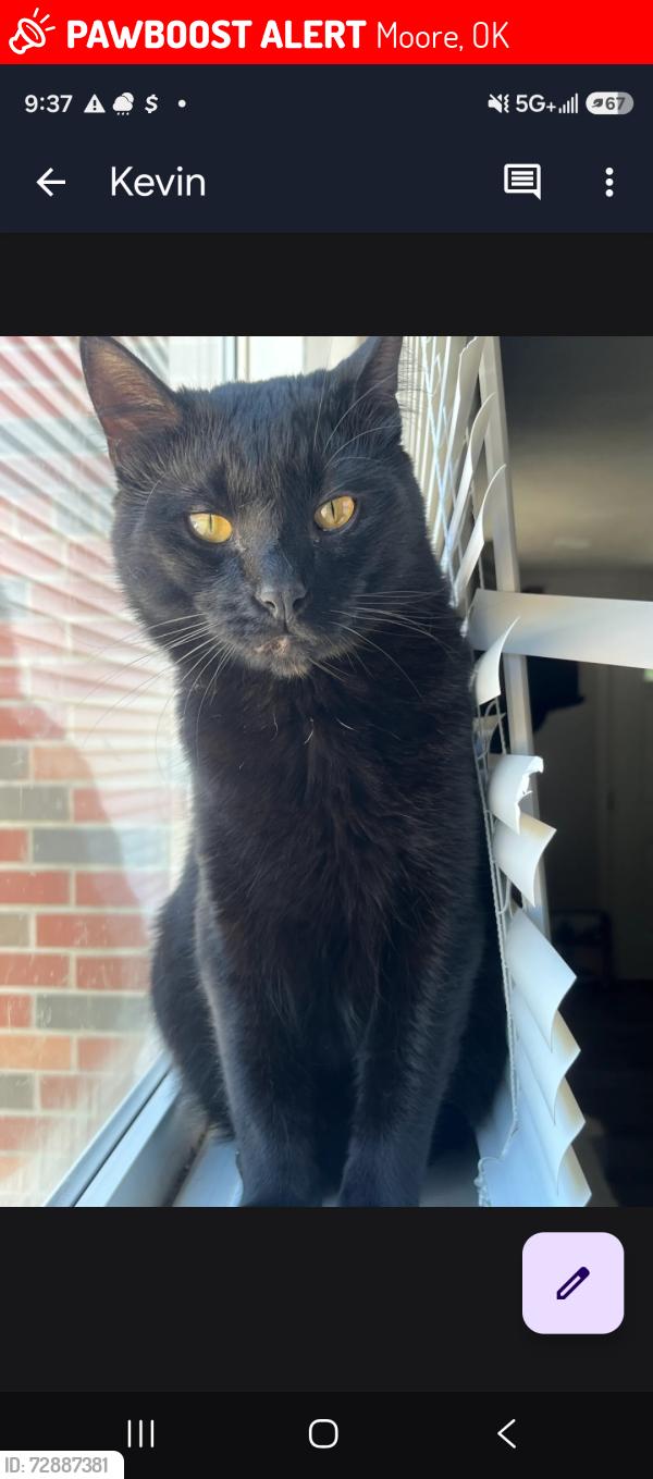 Lost Male Cat last seen At my home on NW 34th St in Moore, Moore, OK 73160