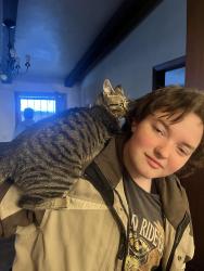 Lost Male Cat last seen Near Jackson st 80206, Denver, CO 80206