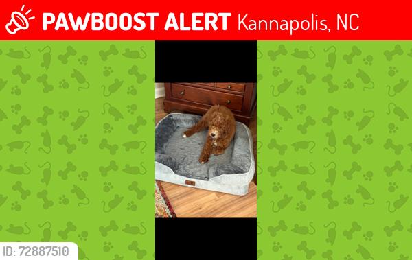 Lost Male Dog last seen Oakwood Avenue , Kannapolis, NC 28081