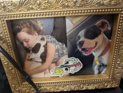 Lost Female Dog last seen W. 80th , Shreveport, LA 71106