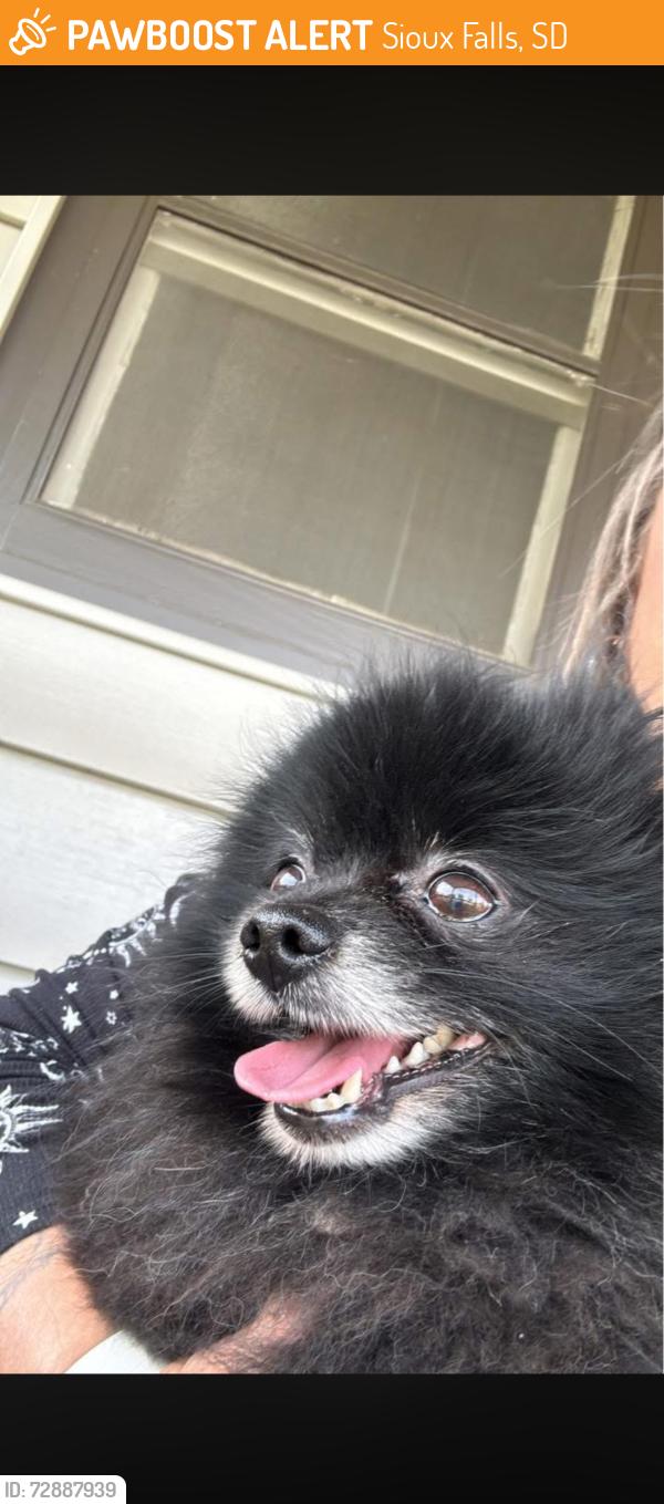 Found/Stray Male Dog last seen 14th and South 4th Ave, Sioux Falls, SD 57104