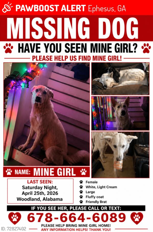 Lost Female Dog last seen sardis bethel , Ephesus, GA 30170
