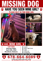 Lost Female Dog last seen sardis bethel , Ephesus, GA 30170