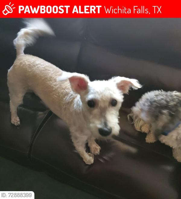 Lost Male Dog last seen Edgemere Park, Wichita Falls, TX 76302
