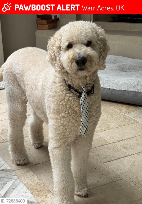 Lost Male Dog last seen 63rd and McArthur , Warr Acres, OK 73122