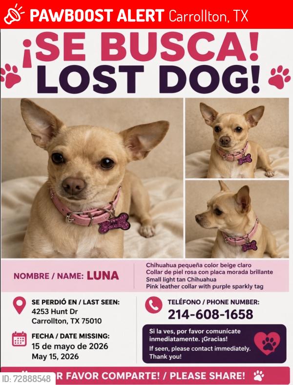 Lost Female Dog last seen Coyote Ridge Golf Club, Carrollton TX, Carrollton, TX 75010