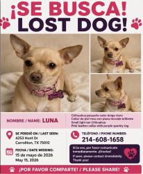 Lost Female Dog last seen Coyote Ridge Golf Club, Carrollton TX, Carrollton, TX 75010