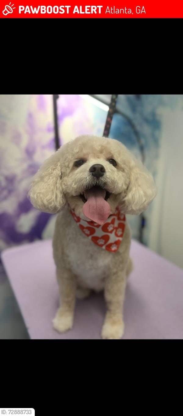 Lost Female Dog last seen Lively trail and oak grove road, Atlanta, GA 30345