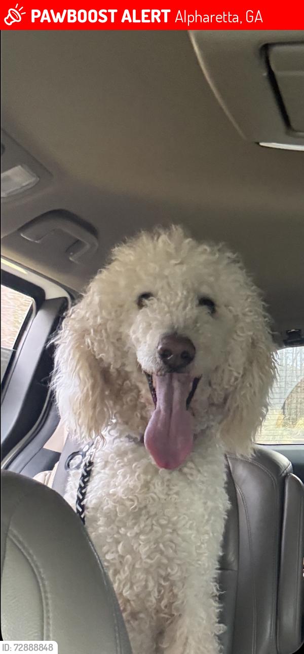 Lost Male Dog last seen Near champions club dr alpharetta Georgia , Alpharetta, GA 30004