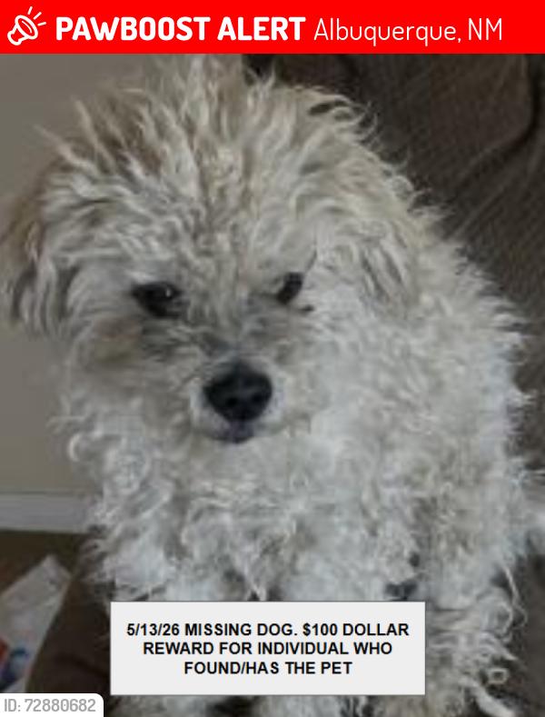 Lost Male Dog last seen Almagordo dr nw west bluff park , Albuquerque, NM 87120