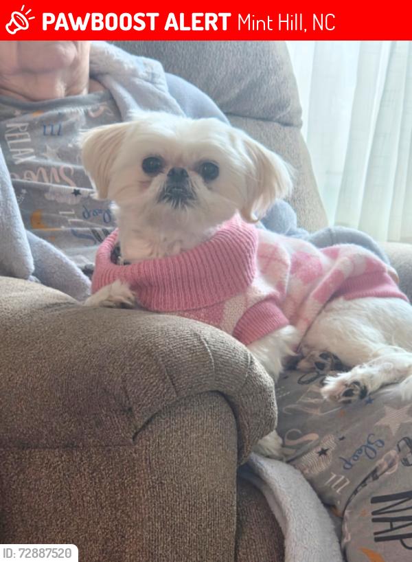 Lost Female Dog last seen Mint Hill . , Mint Hill, NC 28227