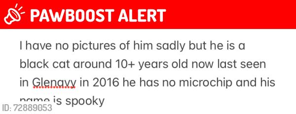 Lost Male Cat last seen Lyngrove Glenavy , Meadowside, Glenavy, Northern Ireland BT29